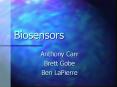 Biosensors PowerPoint PPT Presentation