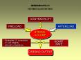 DETERMINANTS OF PowerPoint PPT Presentation