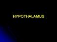 HYPOTHALAMUS PowerPoint PPT Presentation