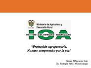 Diapositiva 1