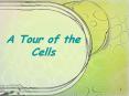 A Tour of the Cells PowerPoint PPT Presentation