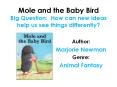 Mole and the Baby Bird Big Question: How can new ideas help us see things differently? PowerPoint PPT Presentation