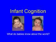 Infant Cognition