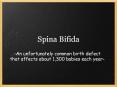Spina Bifida PowerPoint PPT Presentation