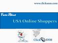 Some Interesting Facts about Online USA Shoppers