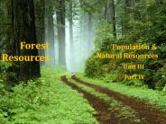 Forest   Resources