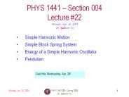 PHYS 1441-004, Spring 2004