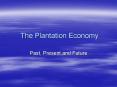 The Plantation Economy PowerPoint PPT Presentation