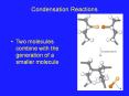 Condensation Reactions PowerPoint PPT Presentation