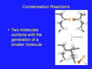 Condensation Reactions