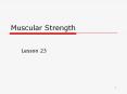 Muscular Strength PowerPoint PPT Presentation