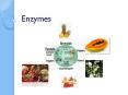 Enzymes PowerPoint PPT Presentation