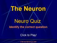 The Neuron:Quiz Game
