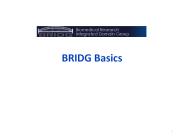 BRIDG Basics