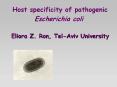 Host specificity of pathogenic Escherichia coli  Eliora Z. Ron, Tel-Aviv University PowerPoint PPT Presentation