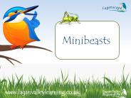 What is a minibeast?