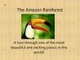 The Amazon Rainforest PowerPoint PPT Presentation