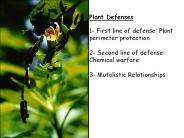 Plant Defense