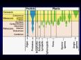Geological Range of Plants PowerPoint PPT Presentation
