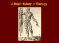 A Brief History of Biology PowerPoint PPT Presentation