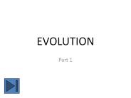 Evolution on two scales Microevolution- Changes in gene