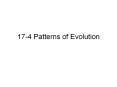 17-4 Patterns of Evolution PowerPoint PPT Presentation