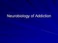 Neurobiology of Addiction PowerPoint PPT Presentation