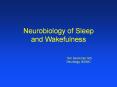 Neurobiology of Sleep and Wakefulness PowerPoint PPT Presentation