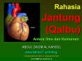 Rahasia Jantung (Qalbu) Antara Ilmu dan Keimanan PowerPoint PPT Presentation