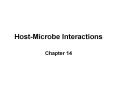 Host-Microbe Interactions PowerPoint PPT Presentation