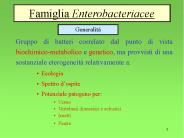 Presentazione di PowerPoint