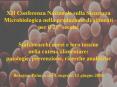 XII Conferenza Nazionale sulla Sicurezza Microbiologica PowerPoint PPT Presentation