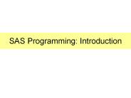 SAS Programming: Introduction