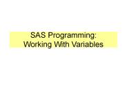 SAS Programming: Working With Variables