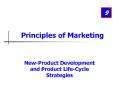 New-Product Development and Product Life-Cycle Strategies PowerPoint PPT Presentation