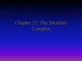 Chapter 22: The Shoulder Complex PowerPoint PPT Presentation