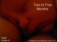Two to Five Months