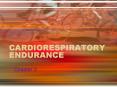 CARDIORESPIRATORY ENDURANCE PowerPoint PPT Presentation