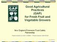 Good Agricultural Practices (GAP) for Fresh Fruit and Vegetable Growers PowerPoint PPT Presentation