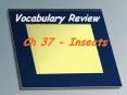 Vocabulary Review PowerPoint PPT Presentation
