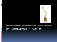 My Challenge Day 9: Internet Business Ideas To Increase Your Value & Financial Thermostat PowerPoint PPT Presentation