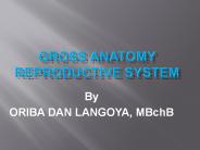 Gross anatomy of the Reproductive System By ORIBA DAN LANGOYA
