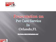 Range of Pet Care Services