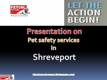 Trusted Pet Care Services