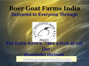 Boer Goat Farms India