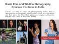 Basic Film and Wildlife Photography Courses Institutes in India PowerPoint PPT Presentation