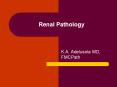 Renal Pathology PowerPoint PPT Presentation
