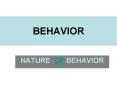 BEHAVIOR PowerPoint PPT Presentation