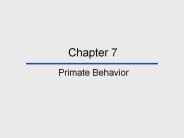 Primate Behavior