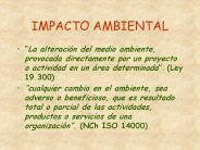 IMPACTO AMBIENTAL